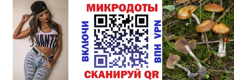 Купить  Тбилисская  Псилоцибиновые грибы ЛСД 